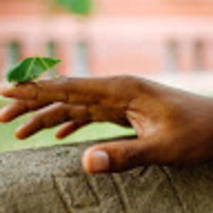 Meet your Posher, Evan